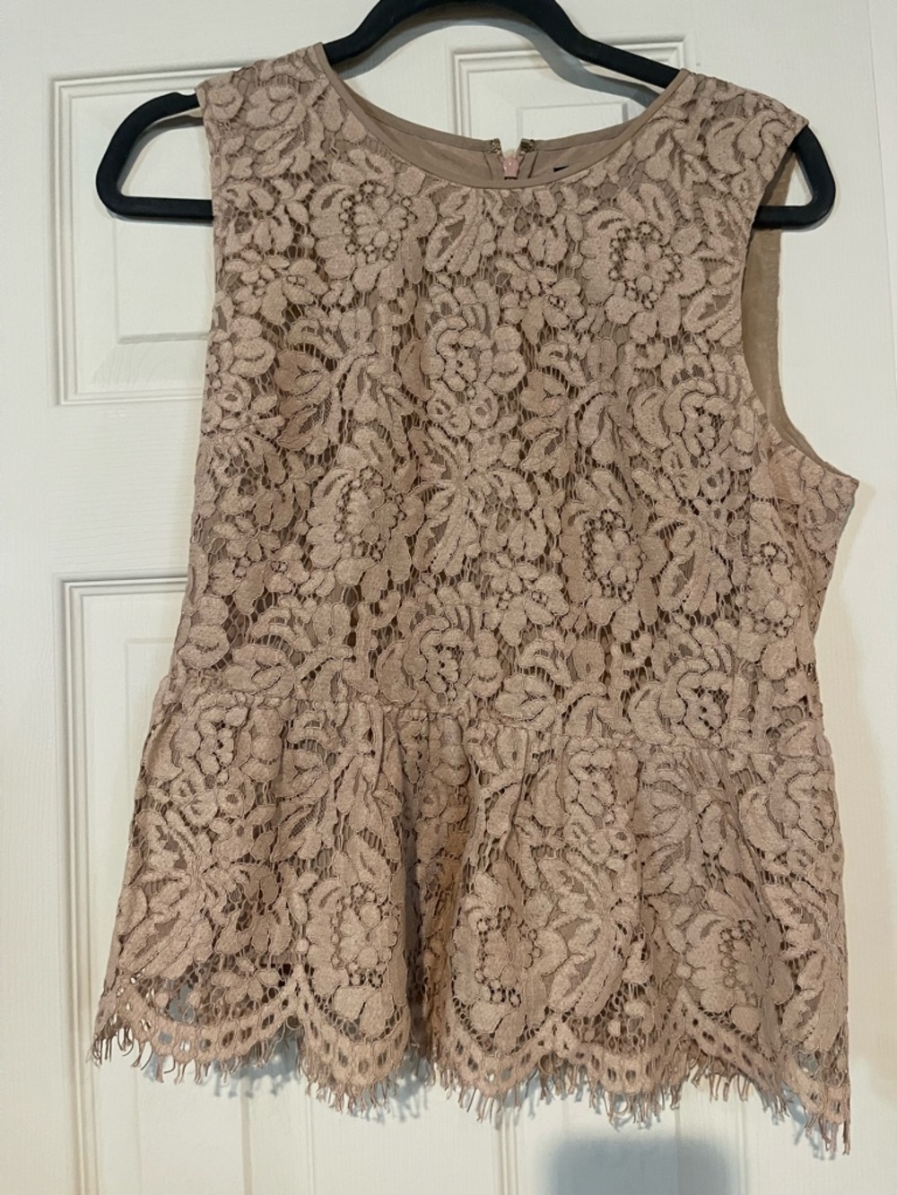 J. Crew Blush Lace Shirt - Picture 3 of 3